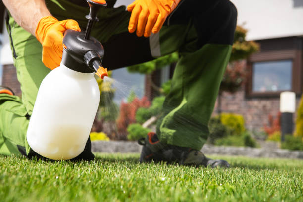 Best Local Pest Control Services  in Midtown, TN
