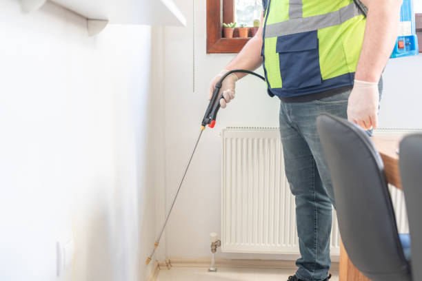 Best Wasp Removal Services  in Midtown, TN