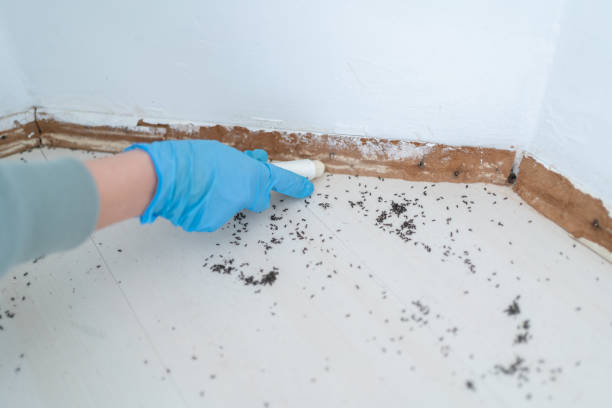 Pest Prevention Services in Midtown, TN
